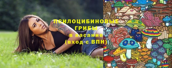 тгк Горнозаводск