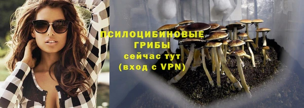 тгк Горнозаводск